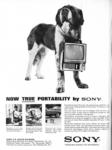 Sony 1965 2.jpg